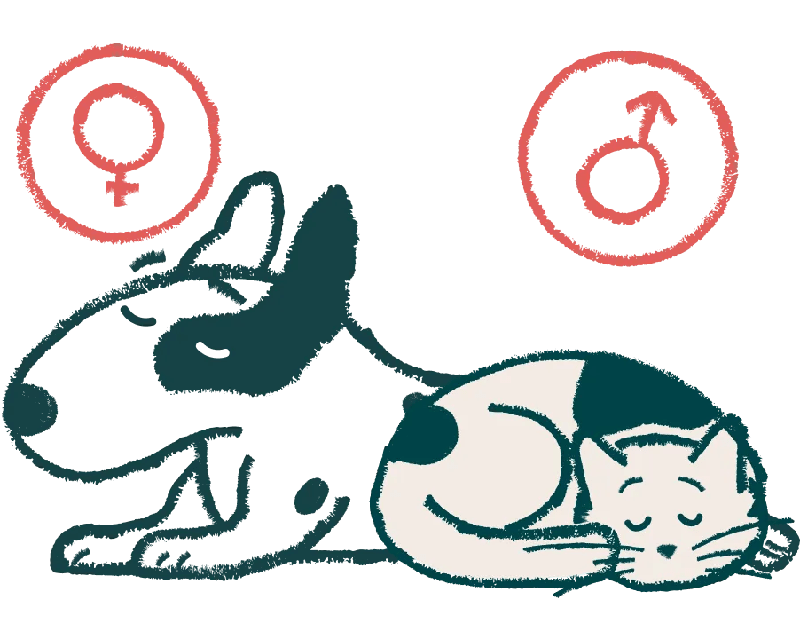 Spay & Neuter Surgery for Dogs and Cats in Denver, CO